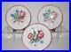 18th-C-SET-OF-3-FRENCH-STRASSBOURG-HAND-MADE-HAND-PAINTED-FAIENCE-PLATES-01-hze
