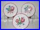18th-C-SET-OF-3-FRENCH-STRASSBOURG-HAND-MADE-HAND-PAINTED-FAIENCE-PLATES-01-yk