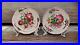 18th-Century-French-Faience-Strasbourg-Hand-Painted-Floral-Flowers-Pair-Plates-01-jg