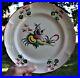 18th-Century-Les-Islettes-French-Faience-Plate-9-25-in-Signed-CHF-Superb-01-bkf