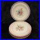 6-Keller-Guerin-K-G-Luneville-Old-Strasbourg-8-3-8-Pierced-Edge-Salad-Plates-01-npdz