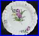 Antique-18th-Century-French-Faience-Plate-Possibly-Strasbourg-01-ihof
