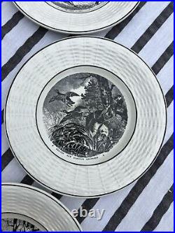 Antique French Faience Hunting Plates c. 1880-1930