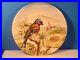 Antique-French-Faience-Plate-Chickadee-Bird-Plate-c-1891-1922-01-yzl