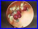 Antique-French-Faience-Wall-Plate-with-Plums-Leaves-Plate-01-twj