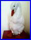 Antique-French-Faience-White-Pottery-Terracotta-Duck-01-iak
