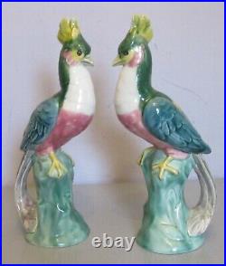 Antique French Faience pottery BIRDS OF PARADISE PAIR large 14 tall figures