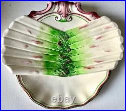 Antique French Sarreguemines Shell Form Asparagus Plate-3 Available