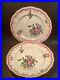 Antique-Pair-of-Hand-Painted-French-Faience-Plates-c-1890-1920-01-aybf