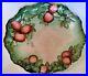 Antique-Rare-Large-Handpainted-French-Faience-Platter-Signed-dated-1903-01-ib
