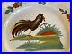 Antique-Rooster-White-Plate-French-Faience-Tin-Glaze-Early-RARE-18th-Century-01-exvk