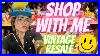 Evening-Stroll-Shop-With-Me-Vintage-Resale-Antique-Mall-Finds-Thrifting-Flea-Market-MCM-01-pup