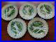 Fives-Vintage-French-Plates-Asparagus-Faience-Majolica-01-gtk