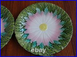 Four Antique French Plate Faience Majolica Sunflower