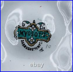 RARE French Antique Oyster Plate SARREGUEMINES Majolica FORGET ME NOTs pattern