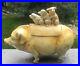 RARE-German-or-French-Faience-Pig-with-Piglets-Humidor-01-cgnz