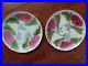 TWO-ANTIQUE-FRENCH-PLATES-FAIENCE-ONNAING-MAJOLICA-Diameter-81-2-01-mx