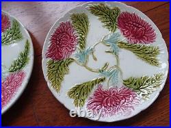 TWO ANTIQUE FRENCH PLATES FAIENCE ONNAING MAJOLICA Diameter 81/2