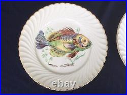 Vintage French Keller&Guerin Gold Trimmed Tropical Fish Plates Set of Six (6)