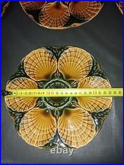 Vintage Sarreguemines Set of 6 Oyster Plates French Faience Majolica